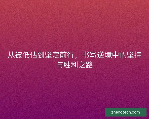 从被低估到坚定前行，书写逆境中的坚持与胜利之路