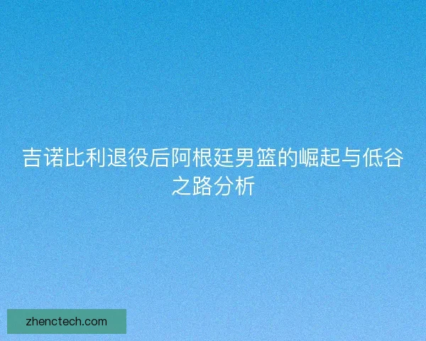 吉诺比利退役后阿根廷男篮的崛起与低谷之路分析
